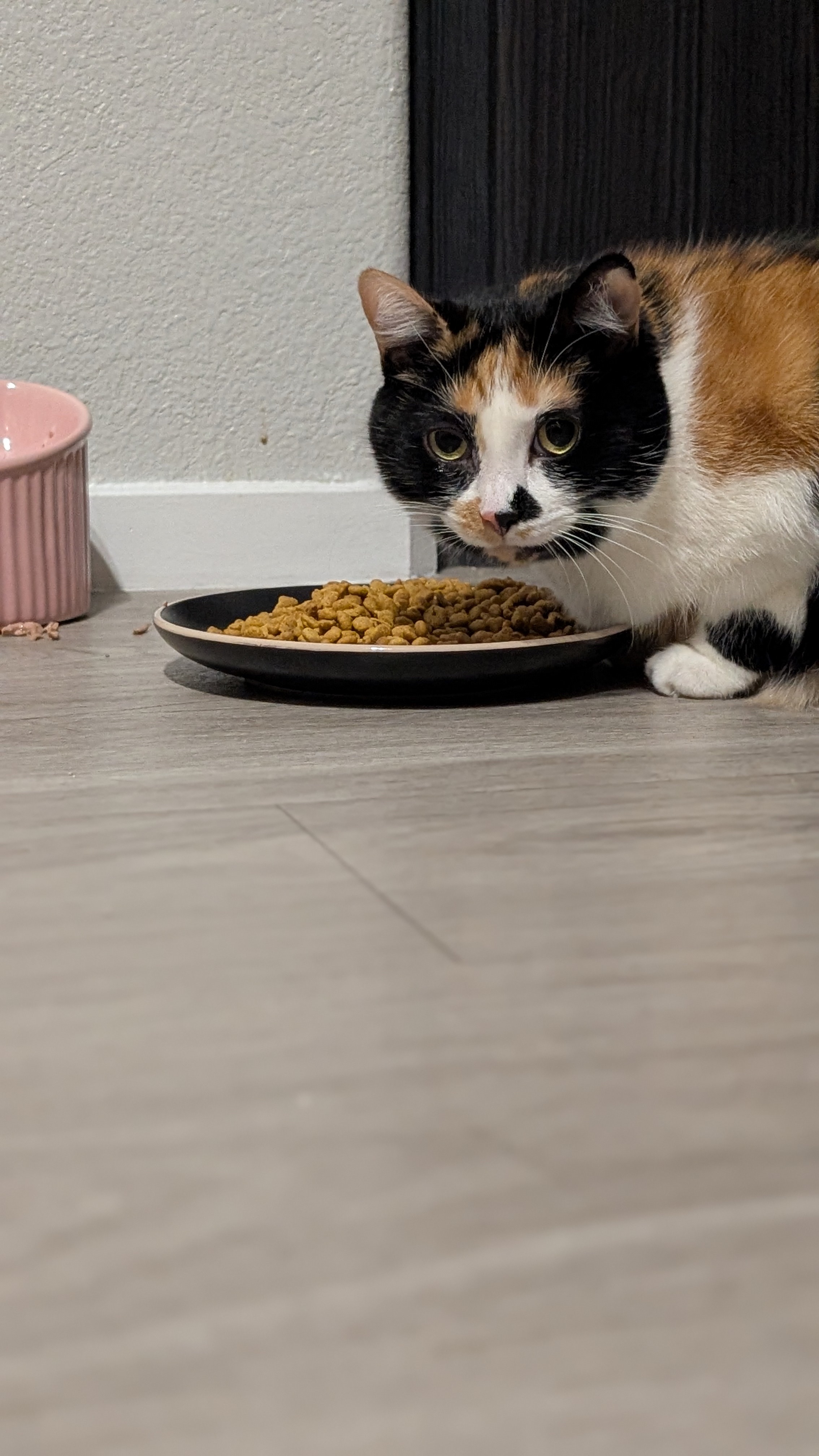 Stella — 2661588090346455150 382b22