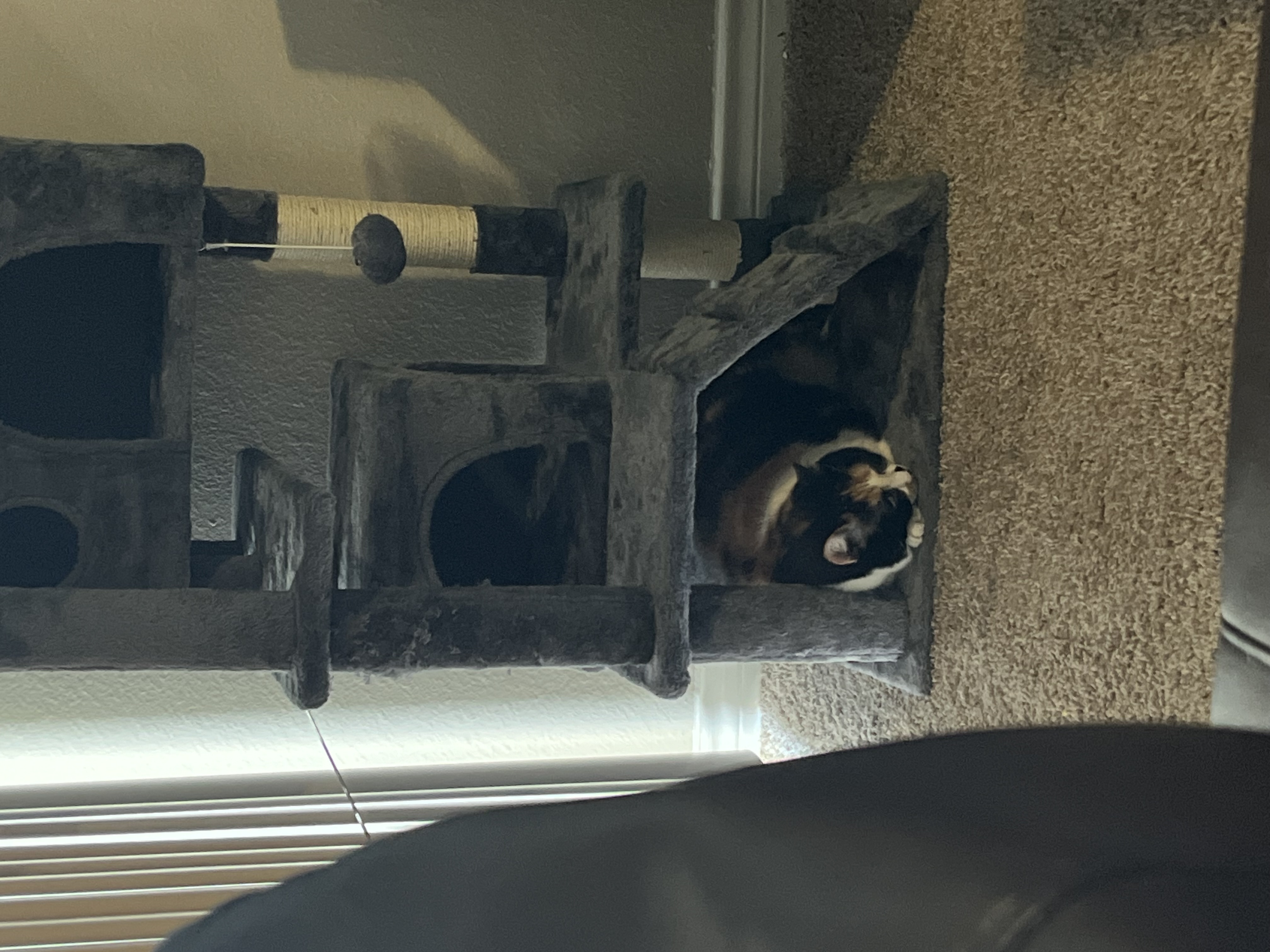 Stella — 73646913096 915c5b46 5cfc 4581 95eb 4a73eb3870b6 4f1f1d