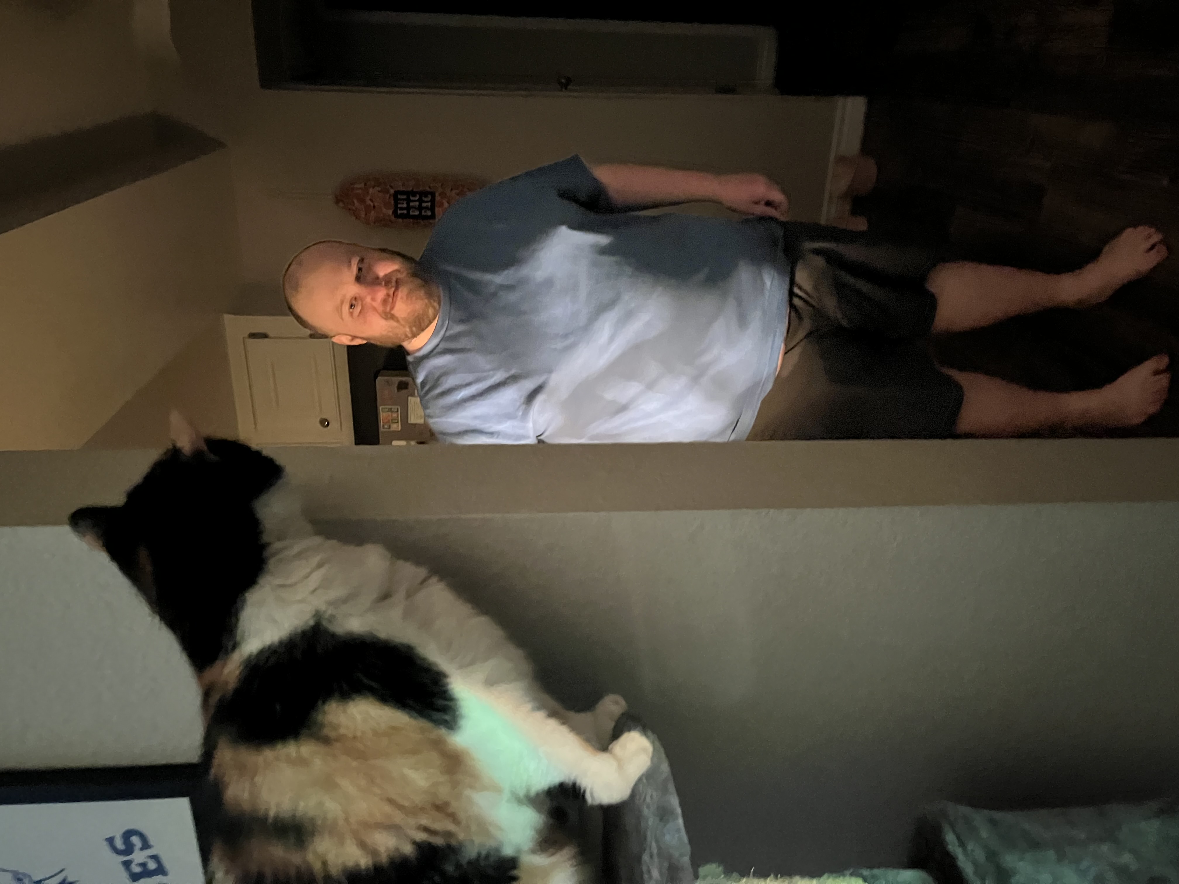 Stella — img 2132 f7ceb5