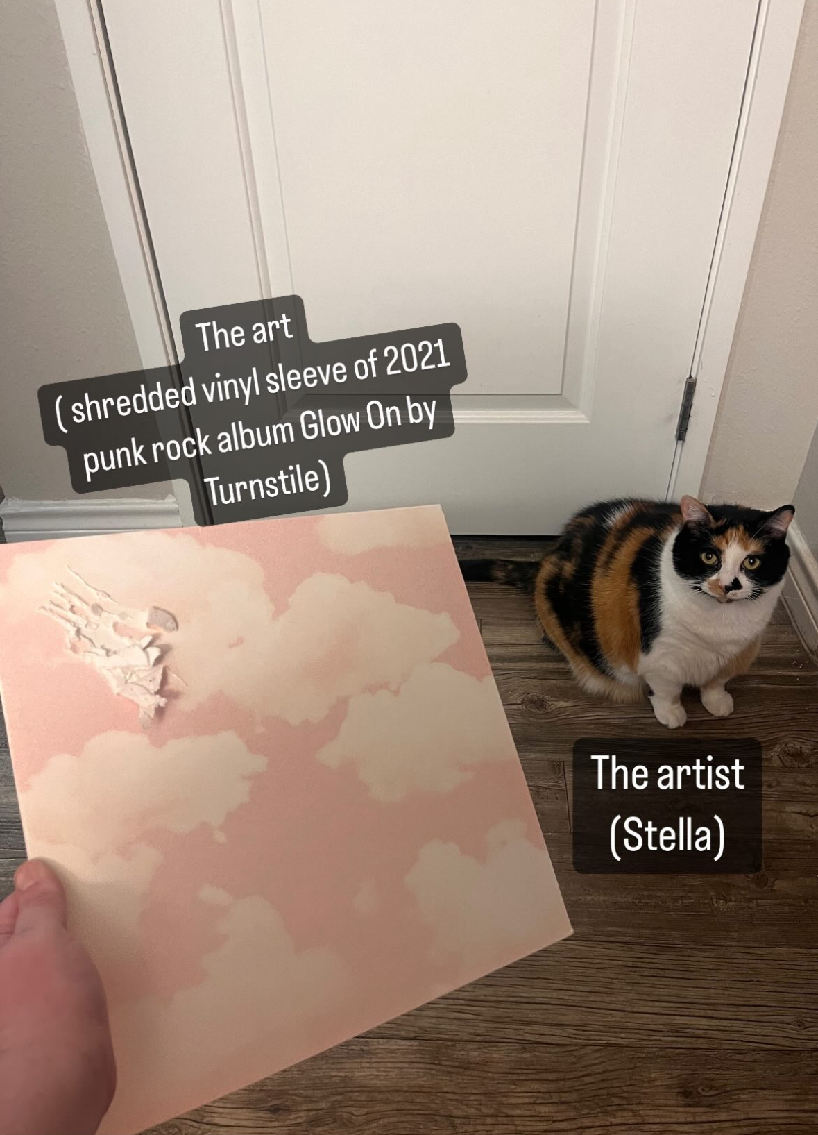 Screenshot 2024 06 17 At 6 43 16 Pm Jpeg B37a55