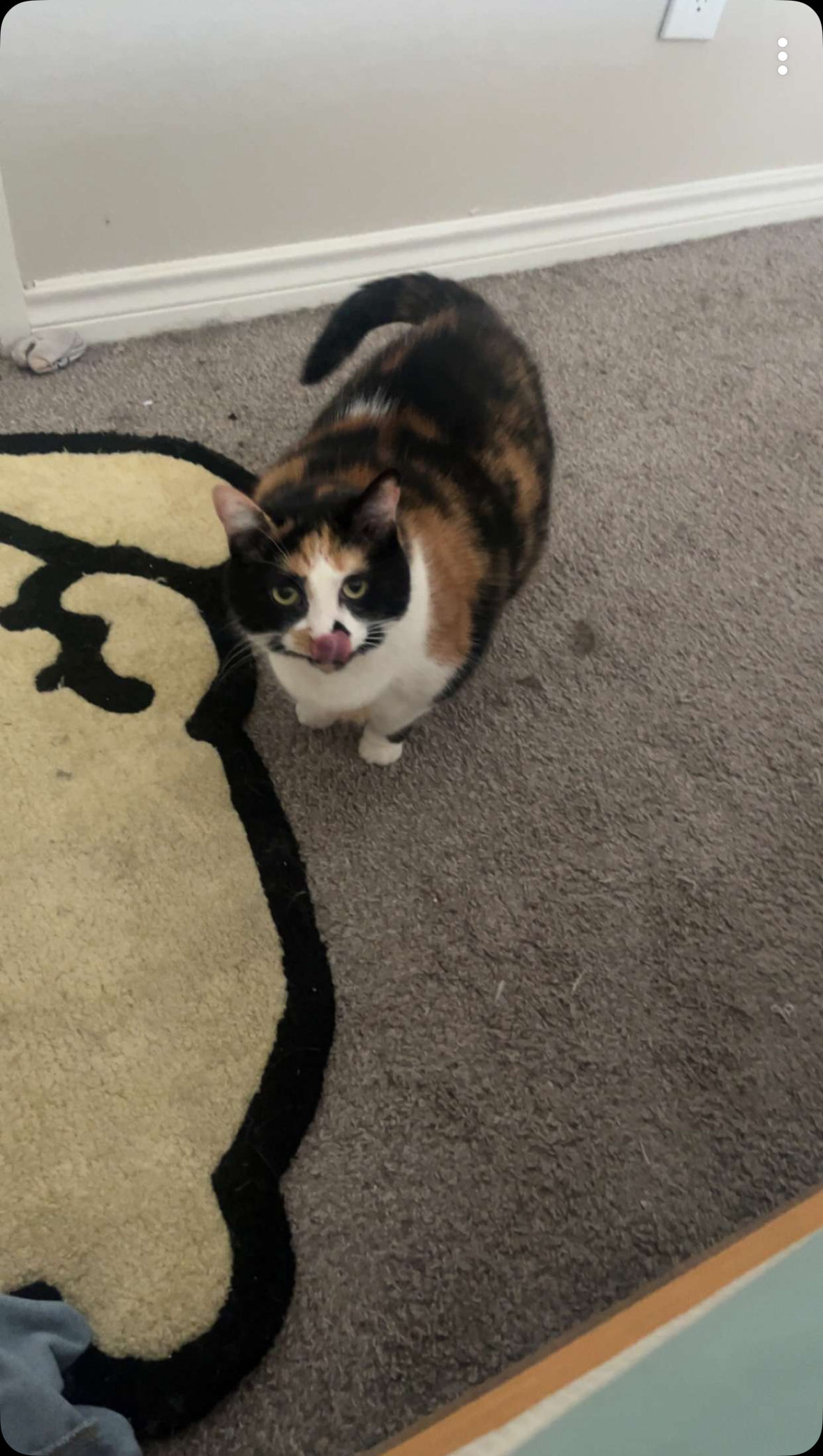 Screenshot 2024 10 06 At 12 08 49 Pm Jpeg 0004dc