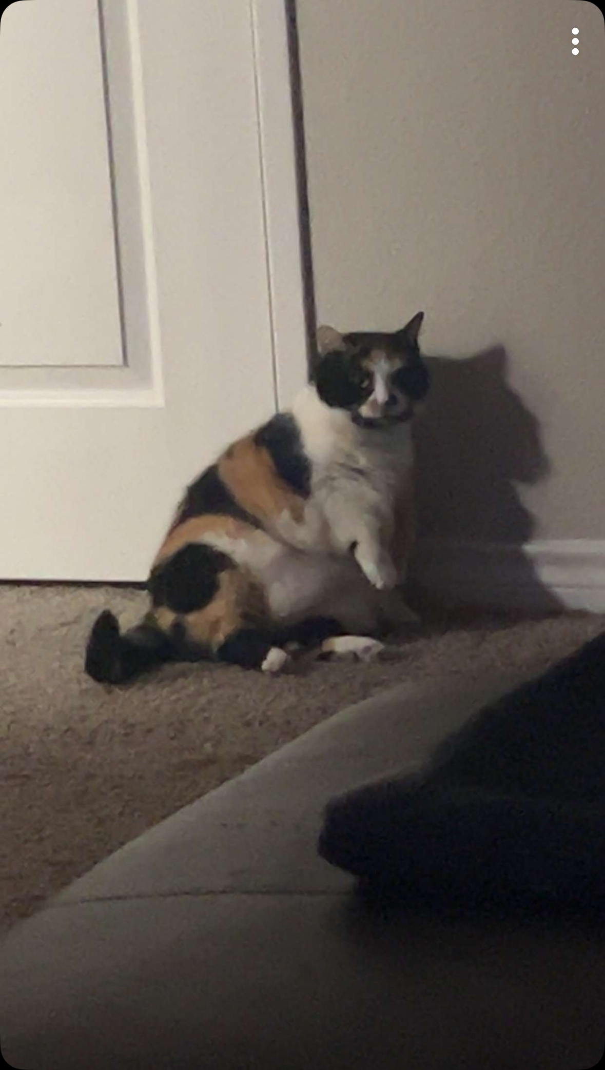 Screenshot 2024 10 07 At 9 14 05 Pm Jpeg 5d2821